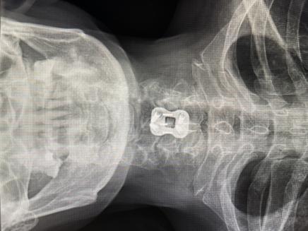 1bd1f38690e38173a9bb1499c222762