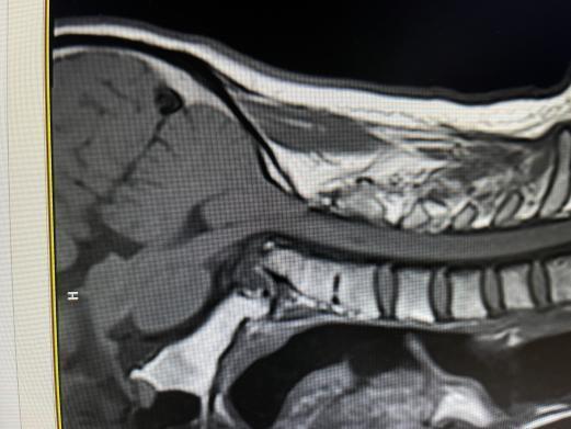 c337edd116f11c71e250995f6f45a0a