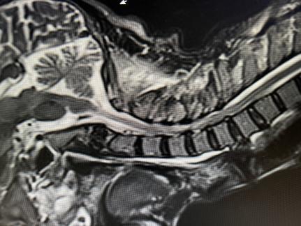 d4b0551ad875ef1c1bd938343c6f2ce