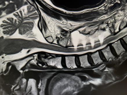 d6bdad9dcbe4f026e4df1b4da0a7789