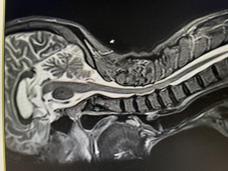 5db9b93ba66f787c55d86687e5a7ddf